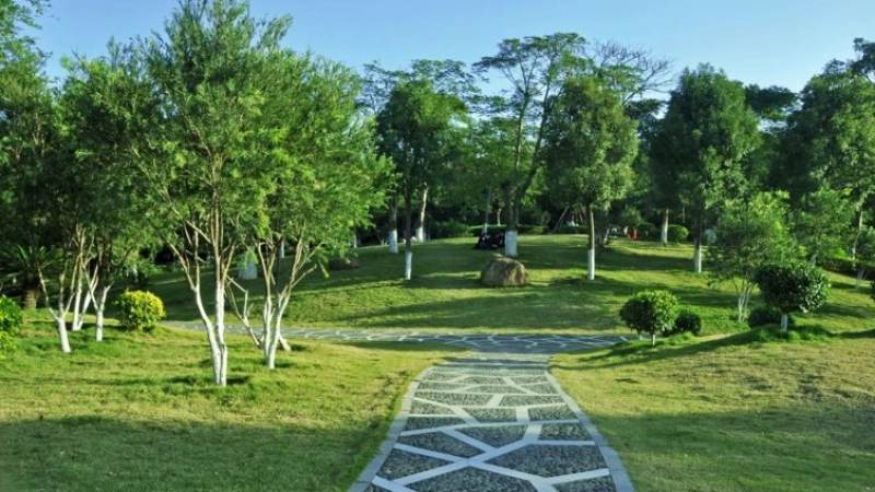 中超直播哪里看？从观赛渠道到信号体验的完整判断思路