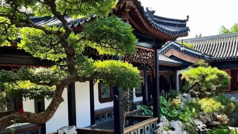亚冠赛程怎么查怎么看?东西亚分区与赛制规则全解析